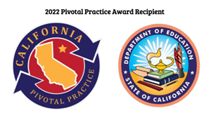 Pivotal Practice Award